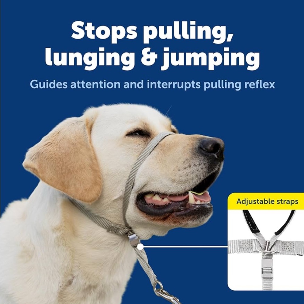 PetSafe Gentle Leader Headcollar - Raspberry - Picture 4 of 5